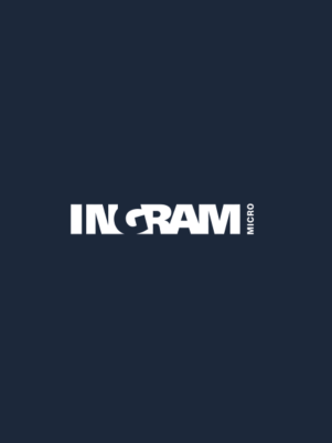 Logo „Power of Partnerships“ von Ingram